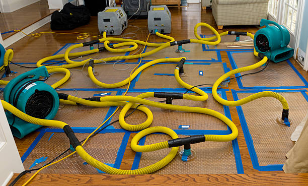 Professional Flood Damage Restoration technician working in Lookout Mountain, TN